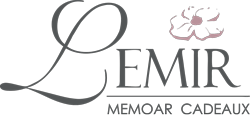 Lemir Logo